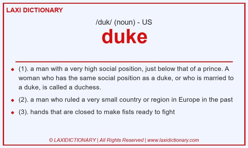 Definition duke in American English