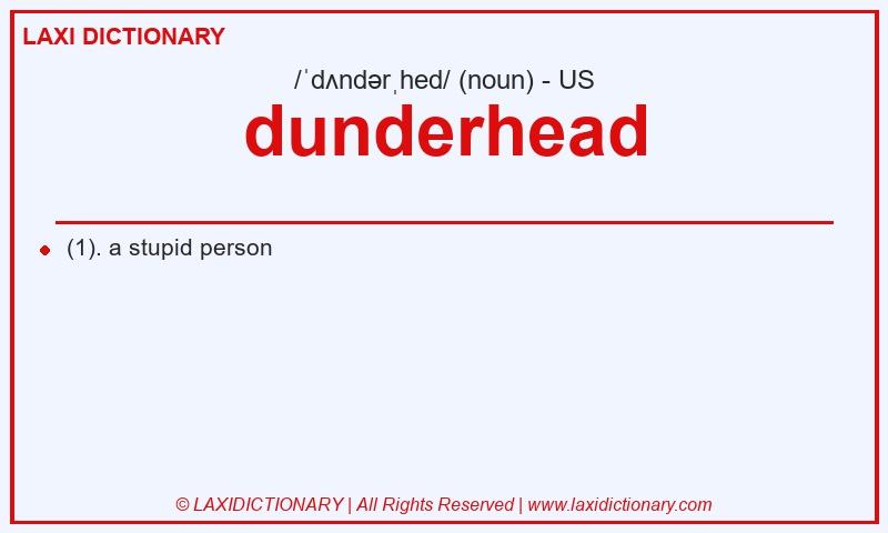 Definition dunderhead in American English