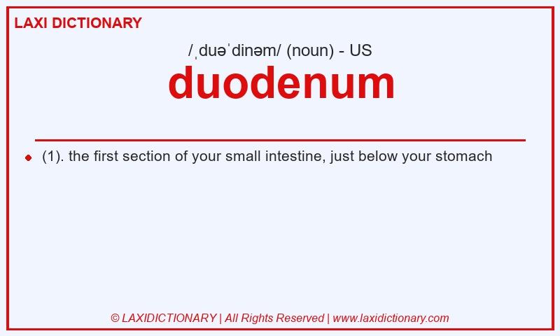 Definition duodenum in American English