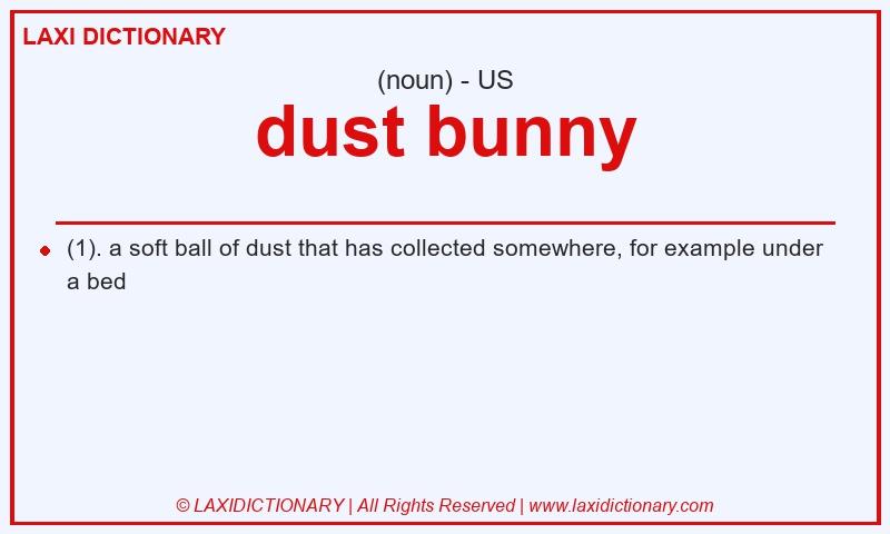 Definition dust bunny in American English