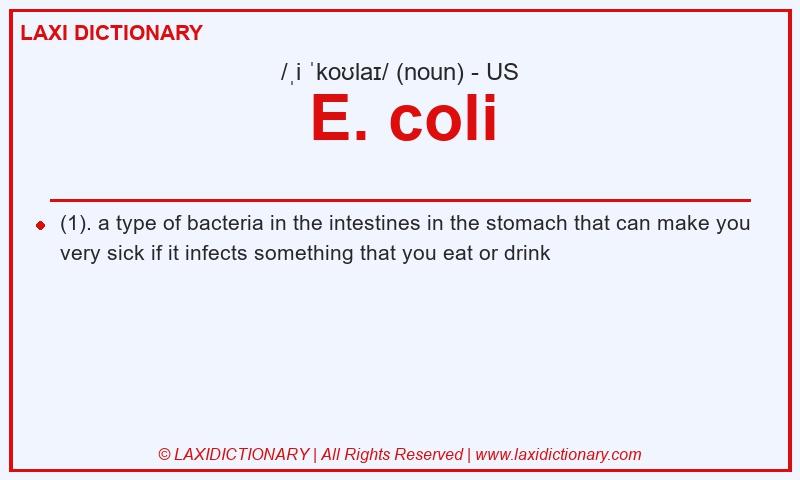 Definition E. coli in American English