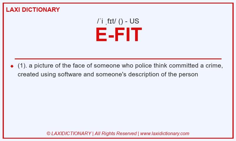 Definition E-FIT in American English
