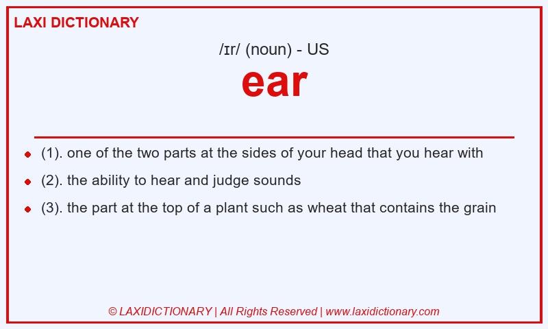 Definition ear in American English