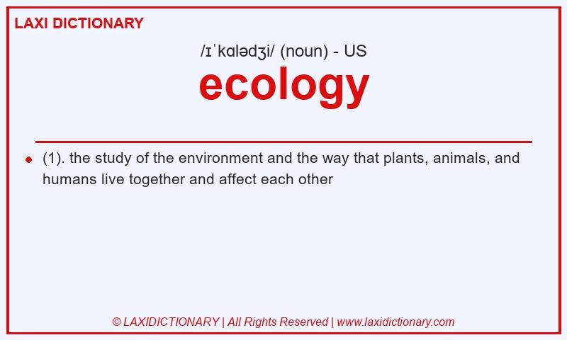 Definition ecology in American English