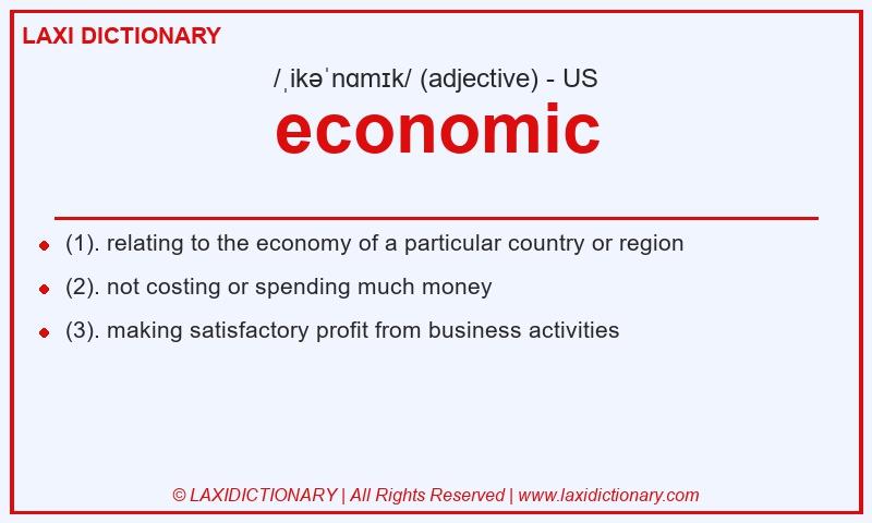 Definition economic in American English