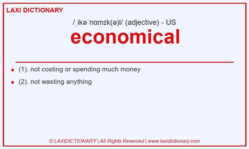 Definition economical in American English