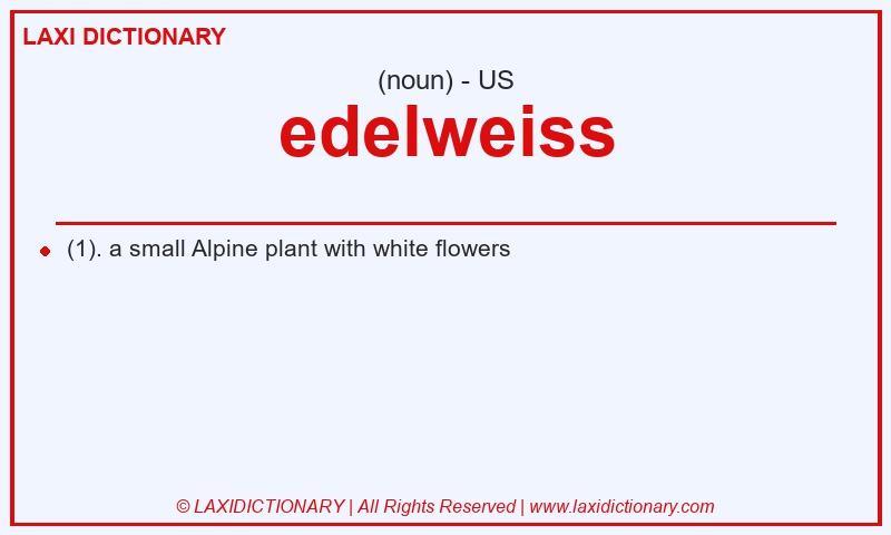 Definition edelweiss in American English