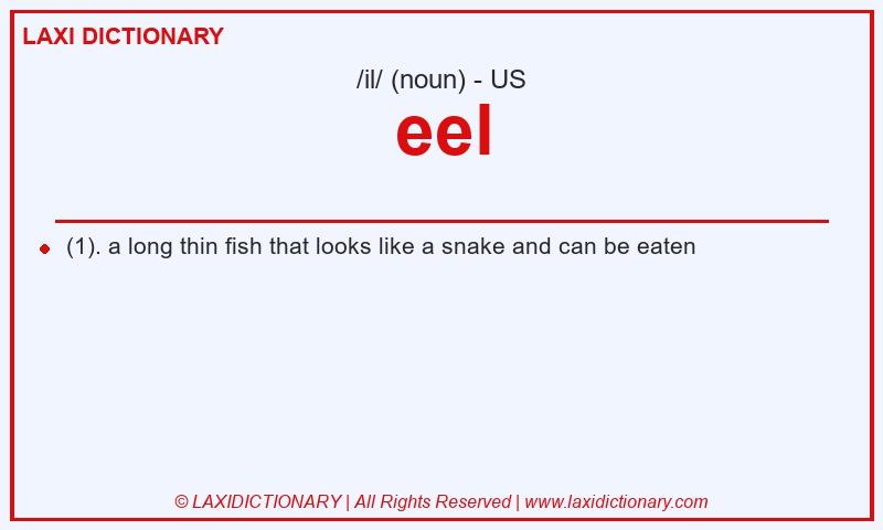Definition eel in American English