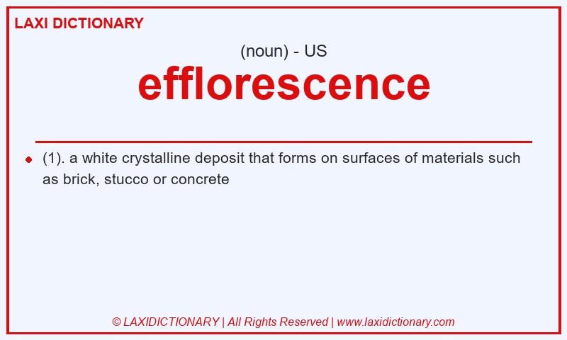 Definition efflorescence in American English