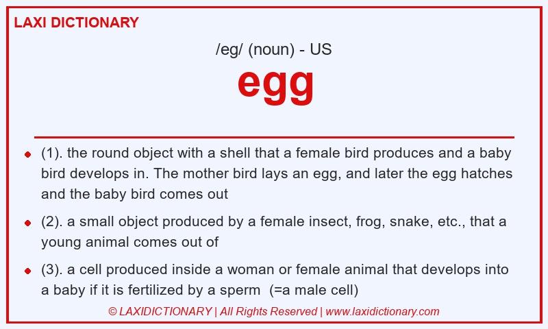 Definition egg in American English