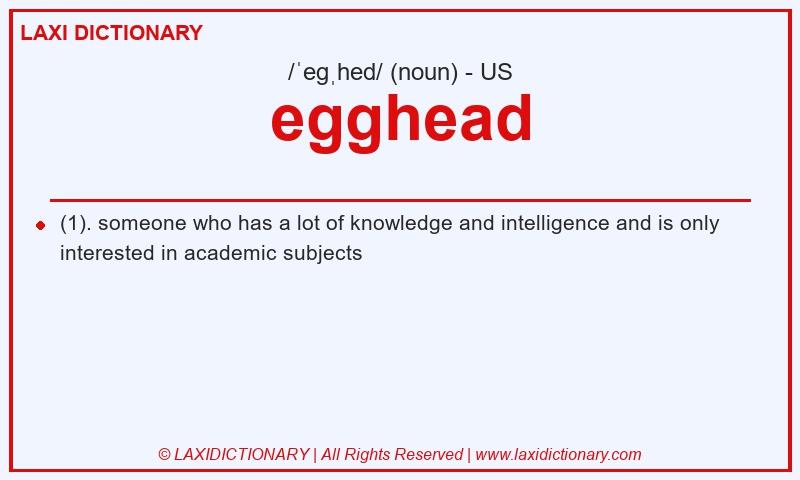 Definition egghead in American English