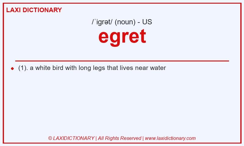 Definition egret in American English