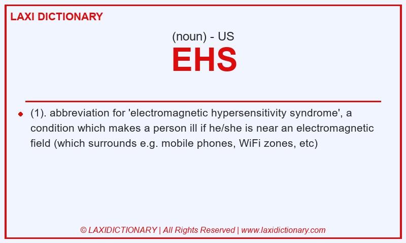 Definition EHS in American English