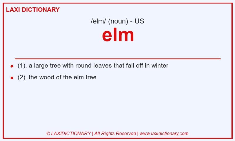 Definition elm in American English