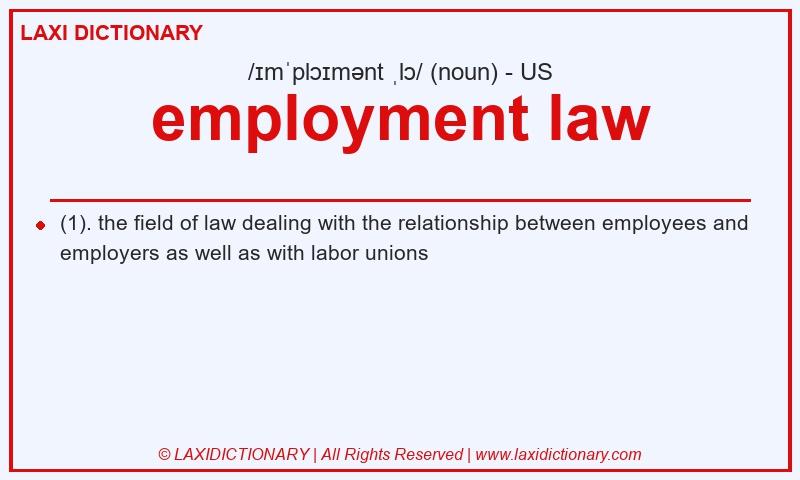 Definition employment law in American English