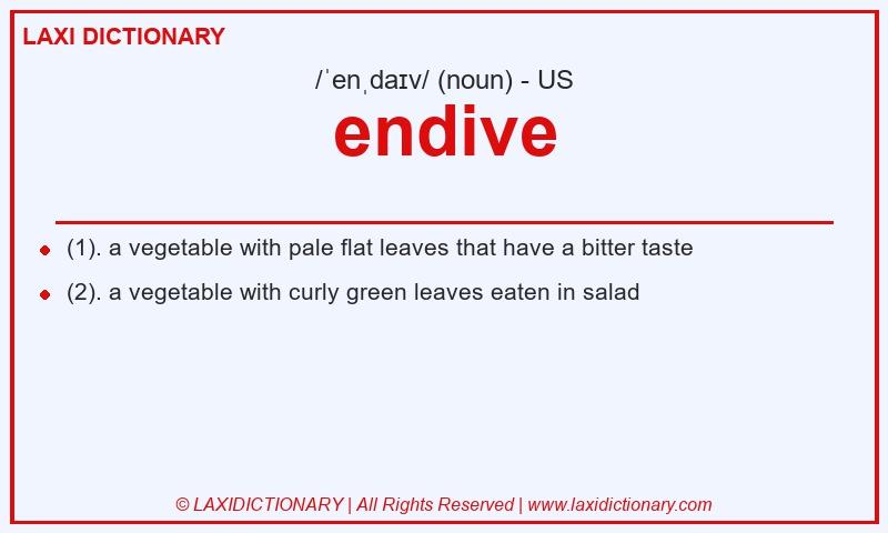 Definition endive in American English