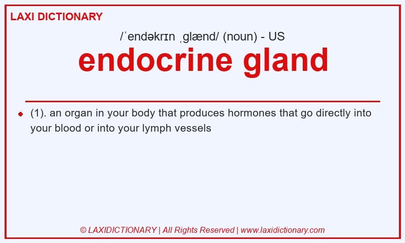 Definition endocrine gland in American English