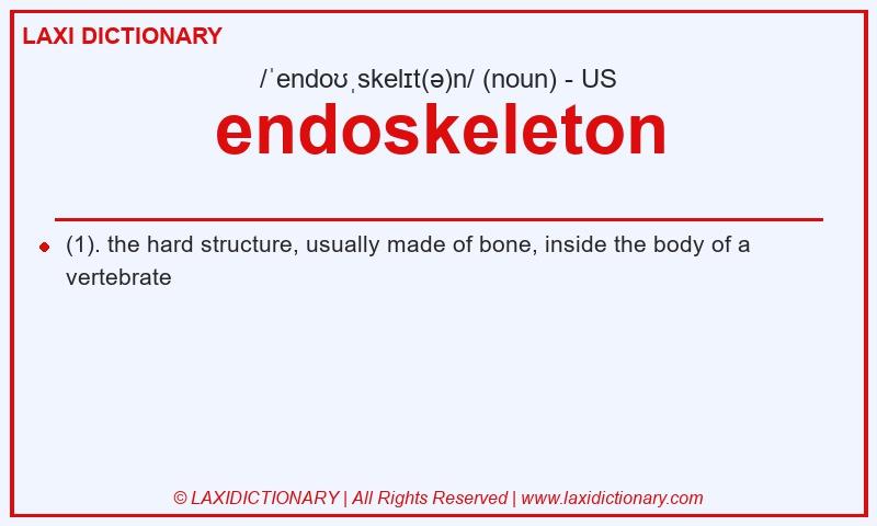 Definition endoskeleton in American English