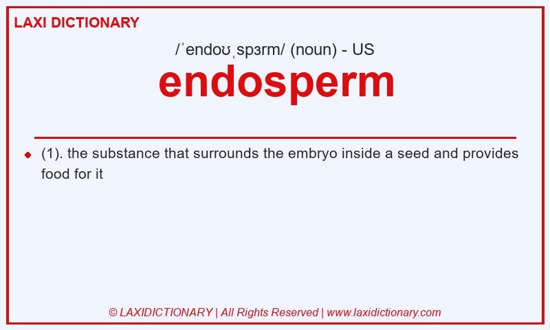 Definition endosperm in American English