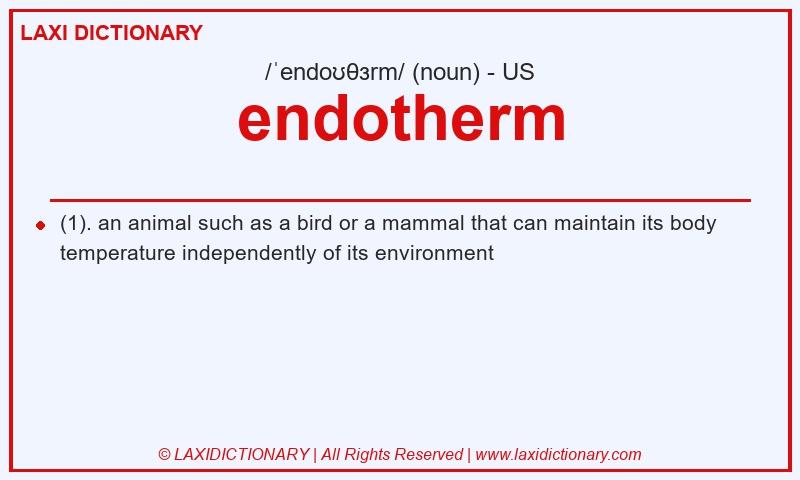 Definition endotherm in American English