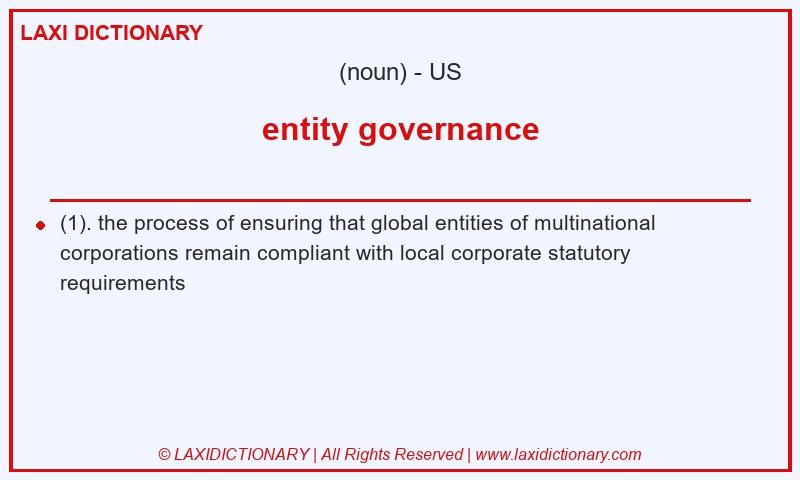Definition entity governance in American English