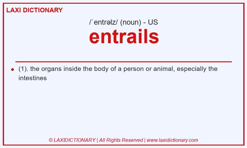 Definition entrails in American English