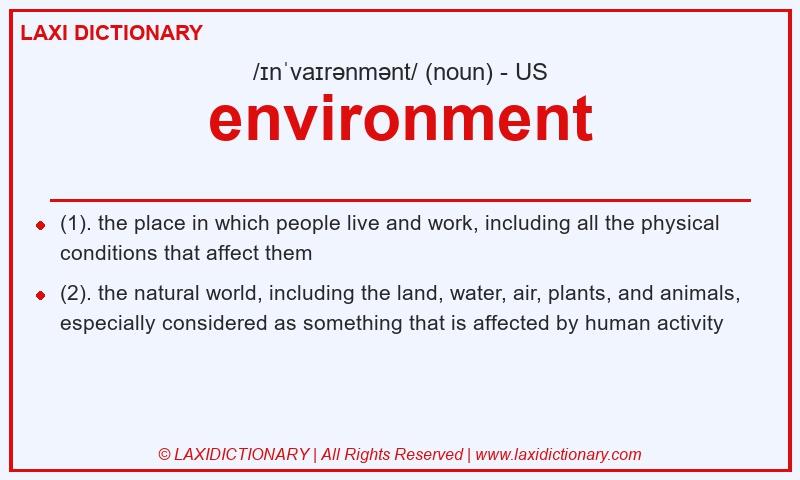 Definition environment in American English