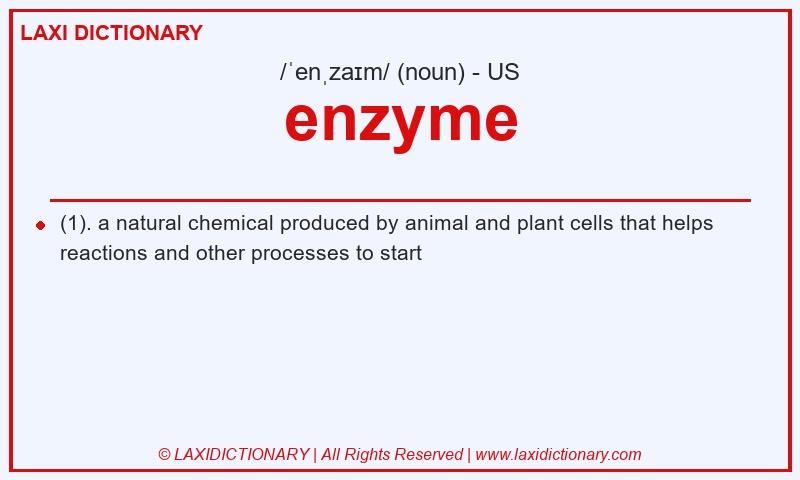 Definition enzyme in American English