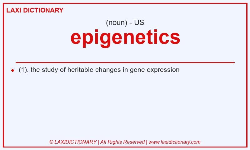 Definition epigenetics in American English