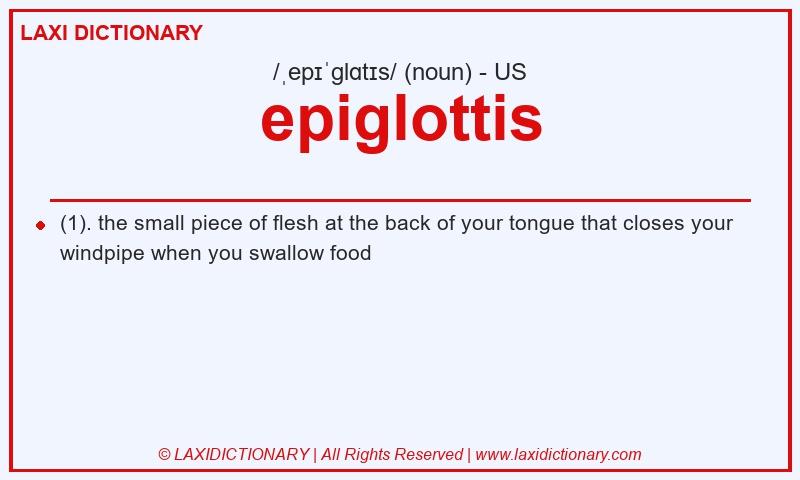 Definition epiglottis in American English