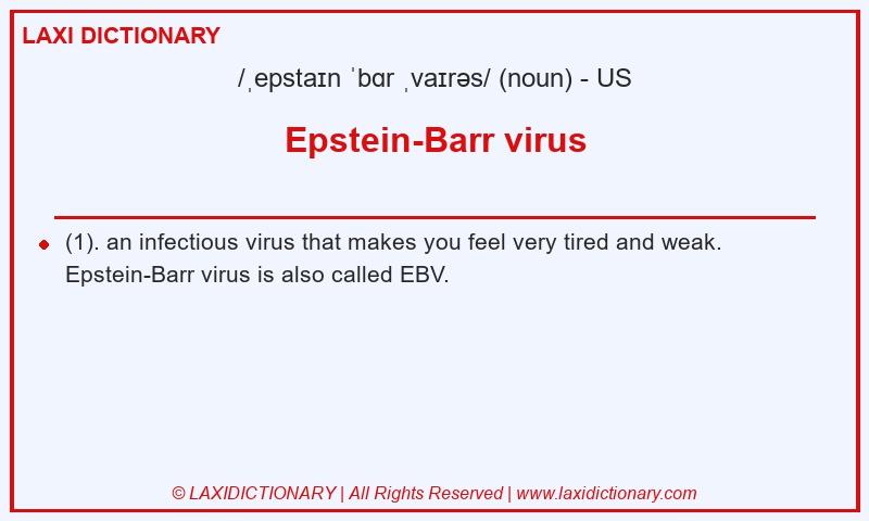 Definition Epstein-Barr virus in American English