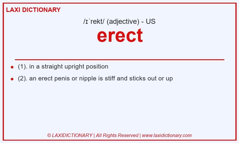 Definition erect in American English