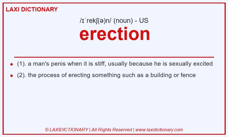 Definition erection in American English