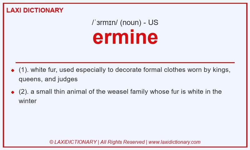 Definition ermine in American English