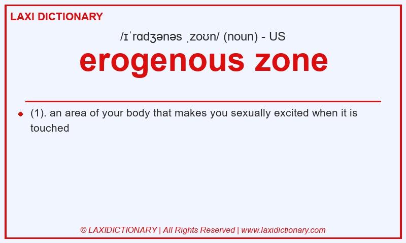 Definition erogenous zone in American English
