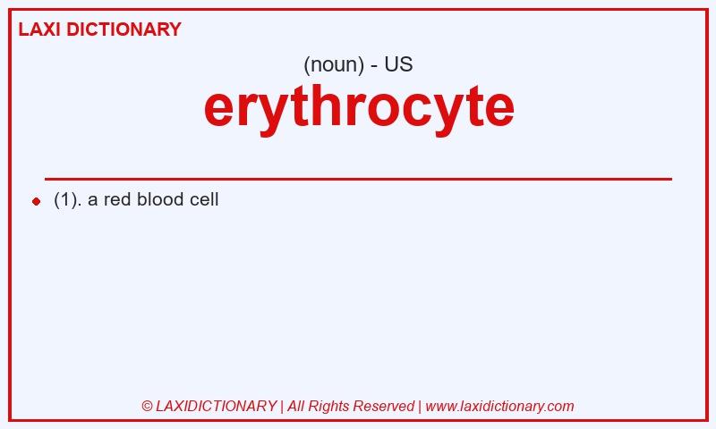 Definition erythrocyte in American English