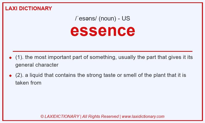 Definition essence in American English