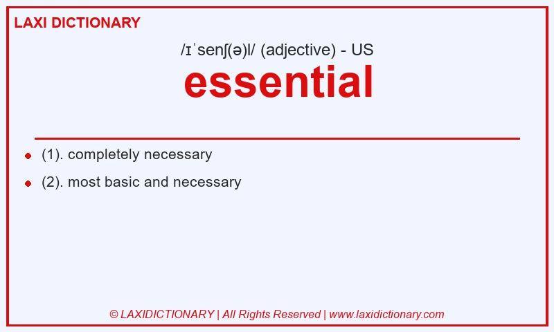 Definition essential in American English