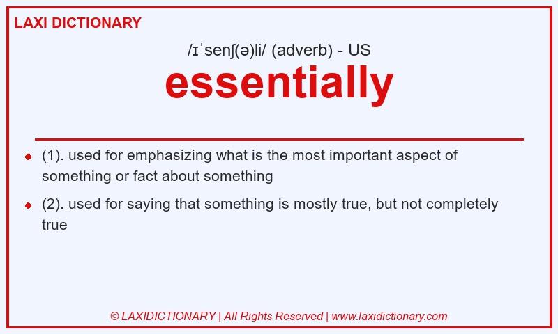 Definition essentially in American English