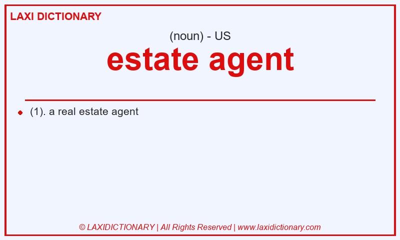 Definition estate agent in American English