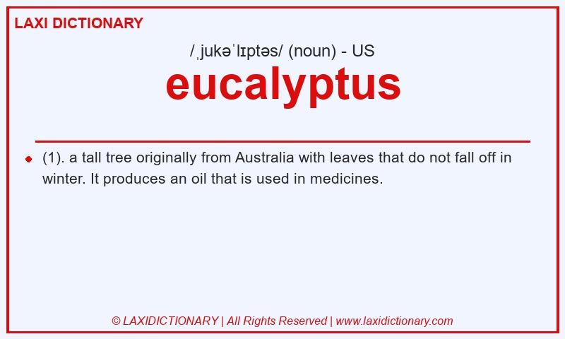 Definition eucalyptus in American English