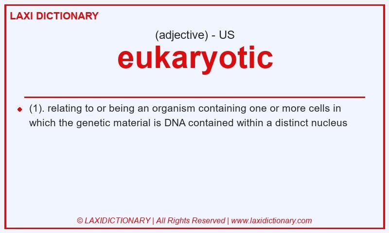 Definition eukaryotic in American English