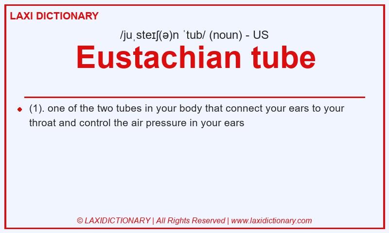 Definition Eustachian tube in American English