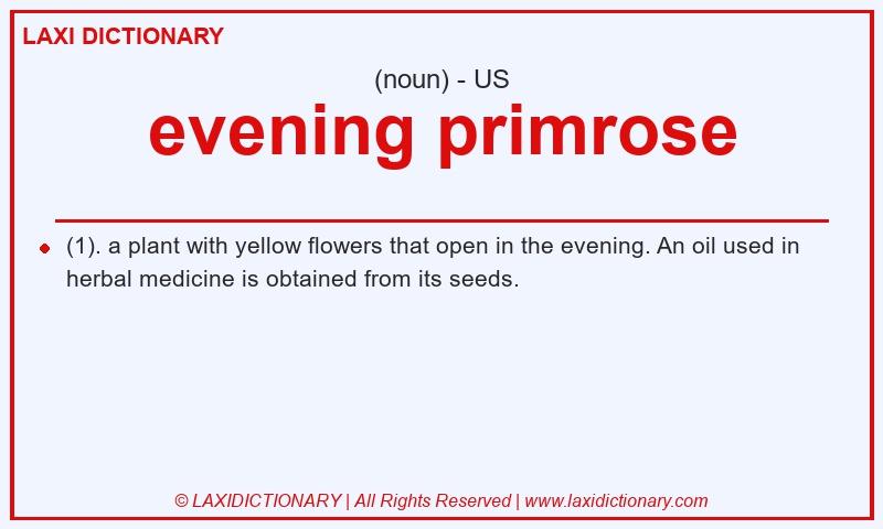 Definition evening primrose in American English