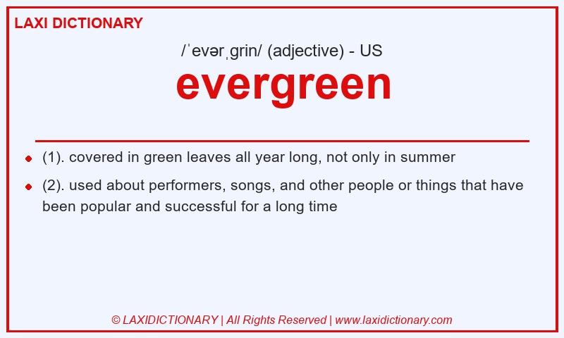 Definition evergreen in American English