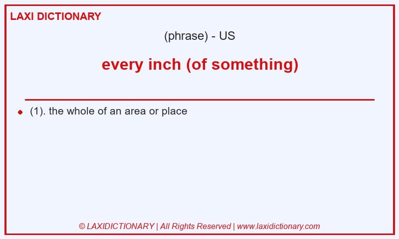 Definition every inch (of something) in American English