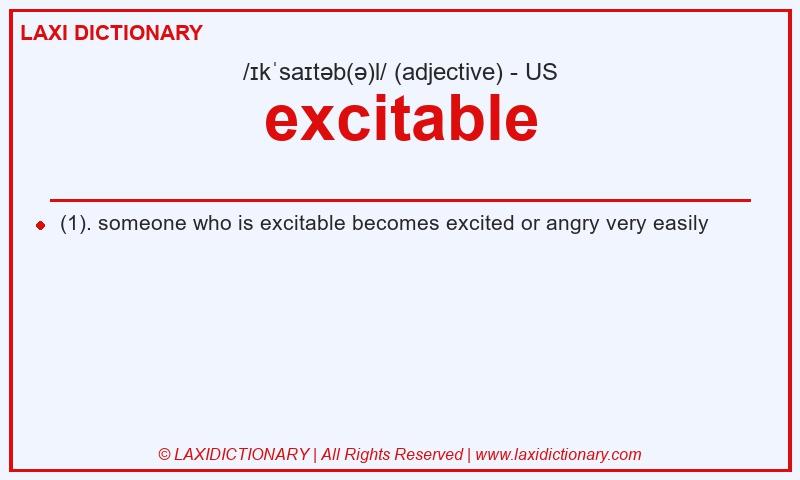 Definition excitable in American English