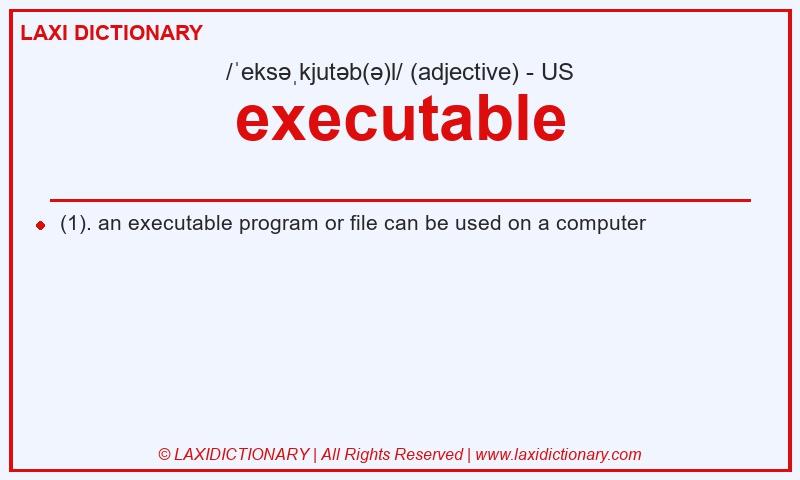 Definition executable in American English