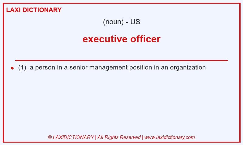 Definition executive officer in American English