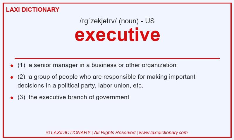 Definition executive in American English